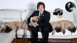 El candidato presidencial Javier Milei publicó un paper en el que consideró a Conan, su perro -ya fallecido- como su gran fuente de inspiración.