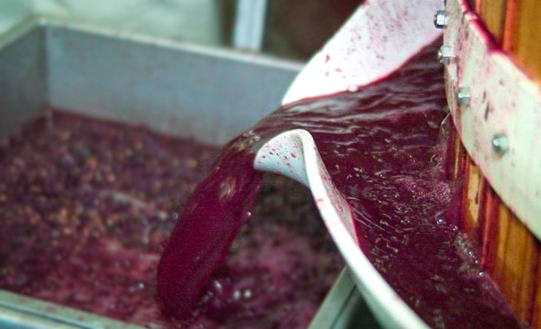 El mosto de uva una de los productos típicos de la economía de Mendoza que se vería beneficiado