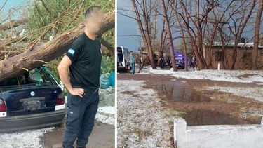 Sitio Andino | árbol caído, Santa Rosa, La Dormida, aplastado 05.jpeg