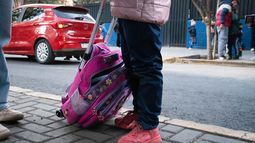 Ola polar en Mendoza: la DGE extendió la suspensión de clases presenciales.
