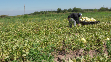 Las lluvias, bajos precios y altos costos profundizan la crisis de los productores