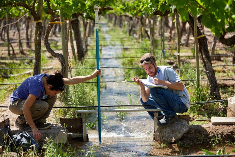 Productores vitícolas de Las Heras reciben ayuda sobre eficiencia hídrica.