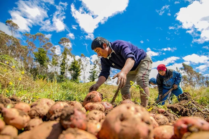 Advierten por una posible pérdida de productores de las economías regionales