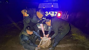 Personal policial con uno de los animales secuestrados.&nbsp;