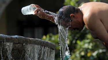 cien muertes por la ola de calor en mexico y estados unidos