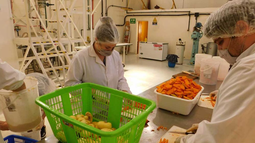 Alimentos: Un desarrollo científico y productivo contra el hambre