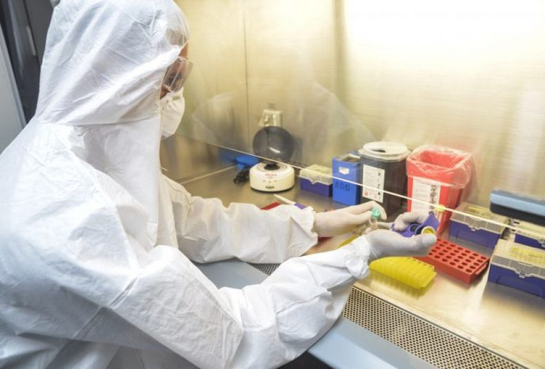 coronavirus, laboratorio, mendoza